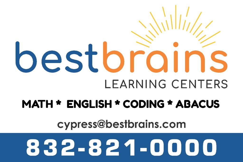 Best Brains logo